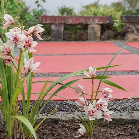 9c House Açores